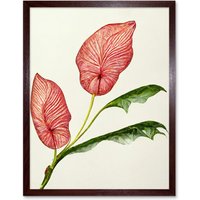 Artery8 Wall Art Print Pink Laceleaf Tropical Leaf Anthurium Botanical Art Framed in Brown | Size: W12" x H16"