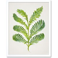 Artery8 Wall Art Print Royal Fern Leaf Modern Watercolour Botanical Art Framed in White | Size: W12" x H16"