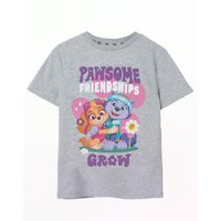 Paw Patrol Kids Short Sleeved T-Shirt (Grey Marl) in Grey | Size: 5-6 Years