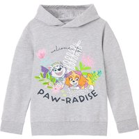 Paw Patrol Girl's Kids Hoodie (Grey Marl) in Grey | Size: 3-4 Years