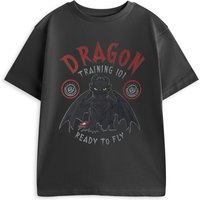 How To Train Your Dragon Boy's Kids Short Sleeved T-Shirt (Charcoal) in Grey | Size: 11-12 Years