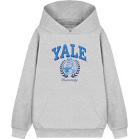 Yale Hoodie | Grey Marl | Official Merch | Size: XL