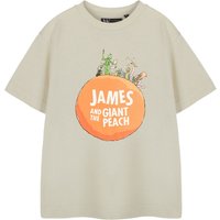 Roald Dahl Kids Short Sleeved T-Shirt (Oatmeal) in Beige | Size: 5-6 Years