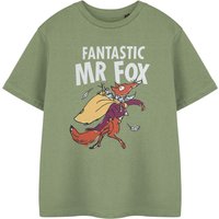 Roald Dahl Kids Short Sleeved T-Shirt (Khaki) in Green | Size: 9-10 Years