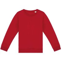 Native Spirit Plain Mid Grey Sweatshirt in Red | Size: 10-12 Years