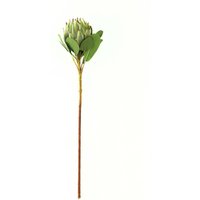 Hill Interiors Protea Protea Artificial Flower in Green