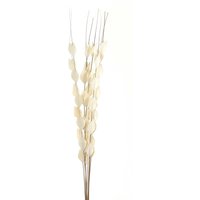 Hill Interiors Bouquet Of Dried Thlaspi Arvense Artificial Flower in White