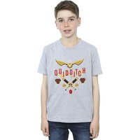 Harry Potter Boy's Quidditch Golden Snitch T-Shirt in Grey | Size: 3-4 Years
