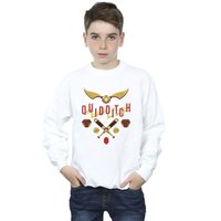 Harry Potter Boy's Quidditch Golden Snitch Sweatshirt in White | Size: 7-8 Years
