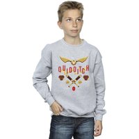Harry Potter Boy's Quidditch Golden Snitch Sweatshirt in Grey | Size: 7-8 Years