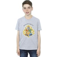Harry Potter Boy's Hogwarts School Emblem T-Shirt in Grey | Size: 7-8 Years