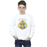 Harry Potter Boy's Hogwarts School Emblem Sweatshirt in White | Size: 9 Years