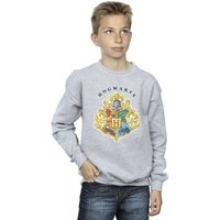 Harry Potter Boy's Hogwarts School Emblem Sweatshirt in Grey | Size: 5-6 Years