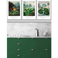 ARTZE Vintage Auricula & Lily Flowers Floral Framed Wall Art - Medium in White | Size: W45 cm x H62 cm x D20mm