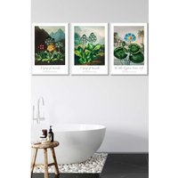 ARTZE Vintage Auricula & Lily Flowers Floral Framed Wall Art - Large in White | Size: W53 cm x H73 cm x D20mm