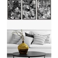 ARTZE Set of 3 Black Framed Abstract Wild Garden Flowers in Black & Grey Wall Art | Size: W53 cm x H73 cm x D20mm