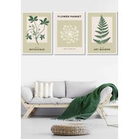 ARTZE Set of 3 White Framed Vintage Graphical Green Botanical Wall Art in Light Green | Size: W33 cm x H45 cm x D20mm