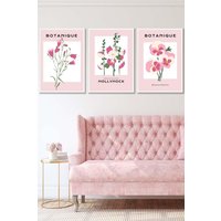 ARTZE Set of 3 White Framed Vintage Graphical Pink Hollyhock Flower Market Wall Art in Dusty Pink | Size: W33 cm x H45 cm x D20mm