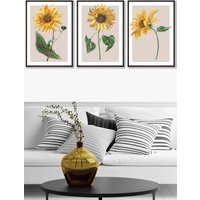 ARTZE Set of 3 Black Framed Vintage Sunflowers on Beige Wall Art in Bright Yellow | Size: W33 cm x H45 cm x D20mm