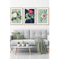 ARTZE Set of 3 Oak Framed Vintage Flowers Camellia Blue & Green Wall Art in Navy | Size: W33 cm x H45 cm x D20mm
