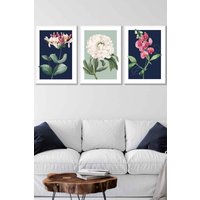 ARTZE Set of 3 White Framed Vintage Flowers Honeysuckle Blue & Green Wall Art in Navy | Size: W53 cm x H73 cm x D20mm