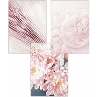 ARTZE Set of 3 Abstract Pink Macro Floral Art Posters in Pale Pink | Size: W50 cm x H70 cm