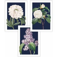 ARTZE Set of 3 Vintage Flowers Lilac, Peony & Camellia on Navy Blue Art Posters | Size: W42 cm x H59 cm