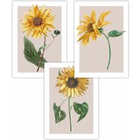 ARTZE Set of 3 Vintage Sunflowers on Beige Art Posters in Bright Yellow | Size: W42 cm x H59 cm
