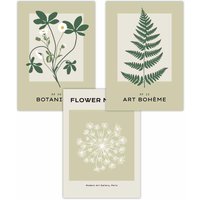 ARTZE Set of 3 Vintage Graphical Green Botanical Art Posters in Light Green | Size: W30 cm x H42 cm