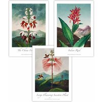 ARTZE Set of 3 Vintage Exotic Eastern Floral Art Posters in Green | Size: W59 cm x H84 cm