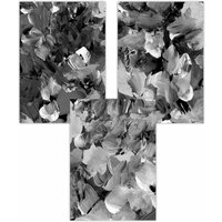 ARTZE Set of 3 Abstract Wild Garden Flowers in Black & Grey Art Posters | Size: W50 cm x H70 cm
