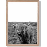 ARTZE Cheeky Highland Cow Animal Black & White Photo Framed Print SIZE: A3 with Oak Frame | Size: A4
