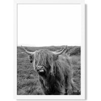 ARTZE Cheeky Highland Cow Animal Black & White Photo Framed Print SIZE: A4 with White Frame | Size: A2