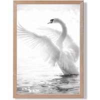 ARTZE Graceful Swan Bird Black & White Photo Framed Print SIZE: A4 with Oak Frame | Size: A2