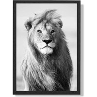 ARTZE Regal Lion Animal Black & White Photo Framed Print SIZE: A3 with Black Frame