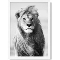 ARTZE Regal Lion Animal Black & White Photo Framed Print SIZE: A3 with White Frame | Size: A2
