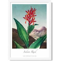 ARTZE Vintage Floral Exhibition - Indian Reed Framed Print SIZE: A4 with White Frame in Red | Size: A2