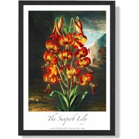 ARTZE Vintage Floral Exhibition - Lily Flower Framed Print SIZE: A3 with Black Frame in Red