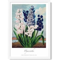 ARTZE Vintage Floral Exhibition - Hyacinth Flowers Framed Print SIZE: A4 with White Frame in Green | Size: A2