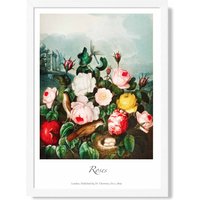 ARTZE Vintage Floral Exhibition - Cottage Roses Framed Print SIZE: A3 with White Frame in Red | Size: A2