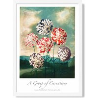 ARTZE Vintage Floral Exhibition - Carnation Flowers Framed Print SIZE: A3 with White Frame in Red | Size: A2