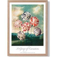 ARTZE Vintage Floral Exhibition - Carnation Flowers Framed Print SIZE: A2 with Oak Frame in Red