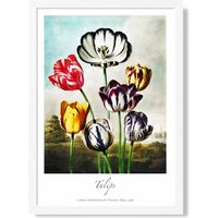 ARTZE Vintage Floral Exhibition - Tulip Flowers Framed Print SIZE: A2 with White Frame in Red | Size: A4
