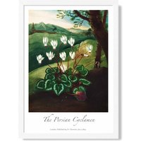 ARTZE Vintage Floral Exhibition - Cyclamen Flowers Framed Print SIZE: A4 with White Frame in Green