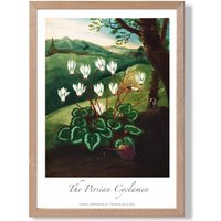 ARTZE Vintage Floral Exhibition - Cyclamen Flowers Framed Print SIZE: A4 with Oak Frame in Green