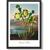 ARTZE Vintage Floral Exhibition - Pitcher Plant Framed Print SIZE: A4 with Black Frame in Yellow | Size: A3