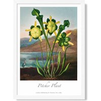 ARTZE Vintage Floral Exhibition - Pitcher Plant Framed Print SIZE: A3 with White Frame in Yellow | Size: A2