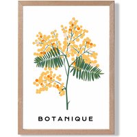 ARTZE Yellow Mimosa Plant Flower Market Spring Framed Print SIZE: A3 with Oak Frame