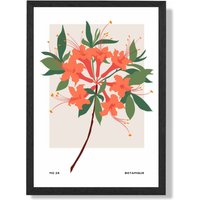 ARTZE Orange Firecracker Plant Flower Market Simplicity Framed Print SIZE: A2 with Black Frame | Size: A3