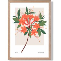 ARTZE Orange Firecracker Plant Flower Market Simplicity Framed Print SIZE: A2 with Oak Frame | Size: A3